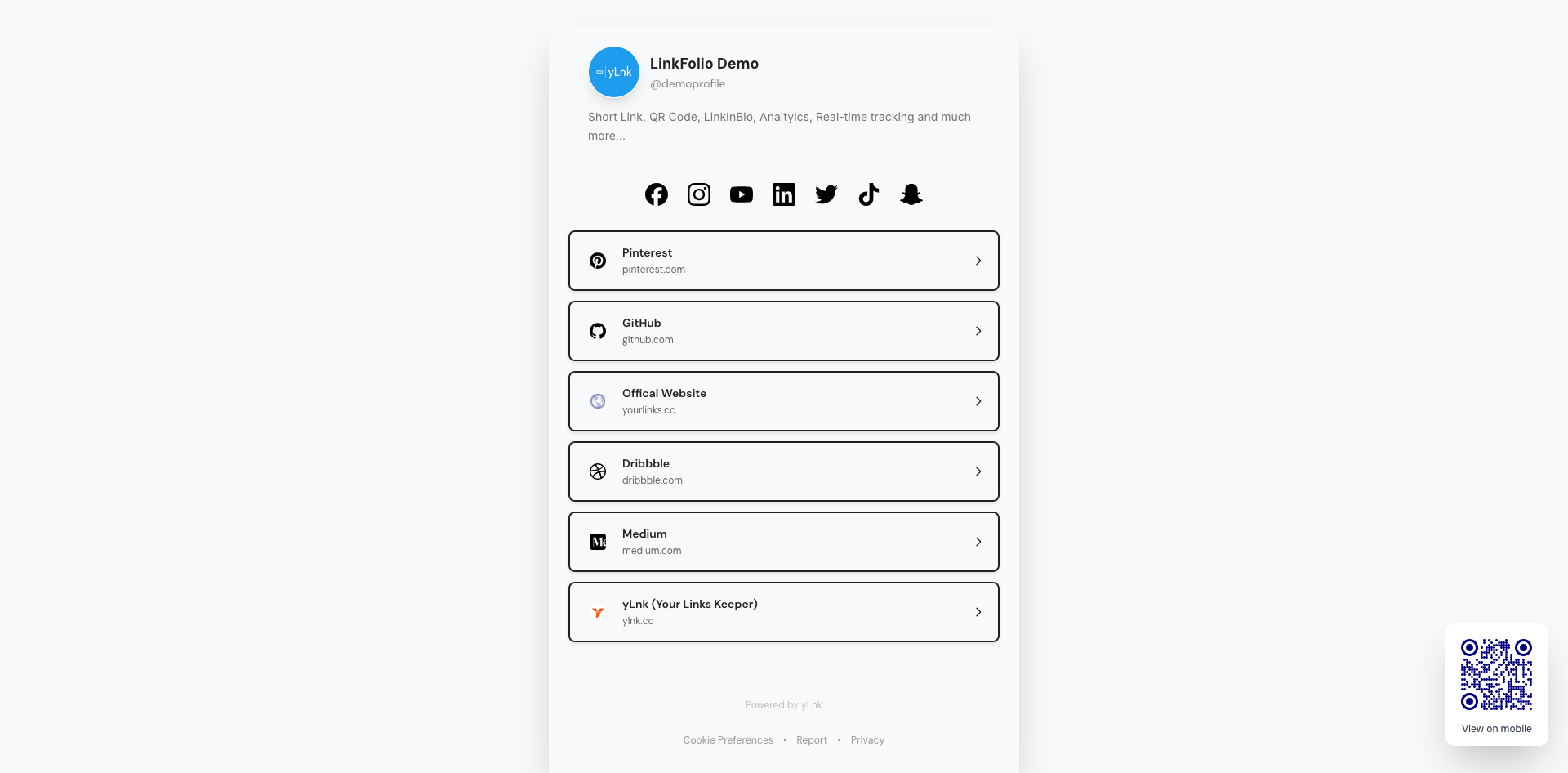 LinkFolio Features and Branded Domains